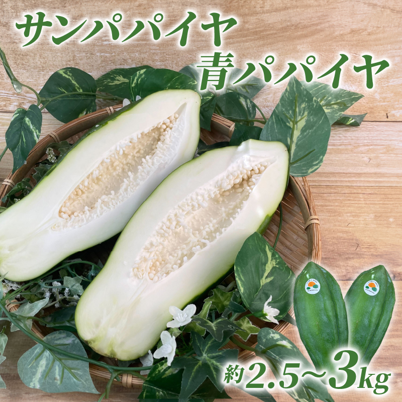 【予約注文/2025年9月下旬より発送】 サン パパイヤ 青 パパイヤ 約 2.5 kg ～ 3 kg 酵素 野菜 果物 フルーツ パパイア 料理 静岡県 沼津市