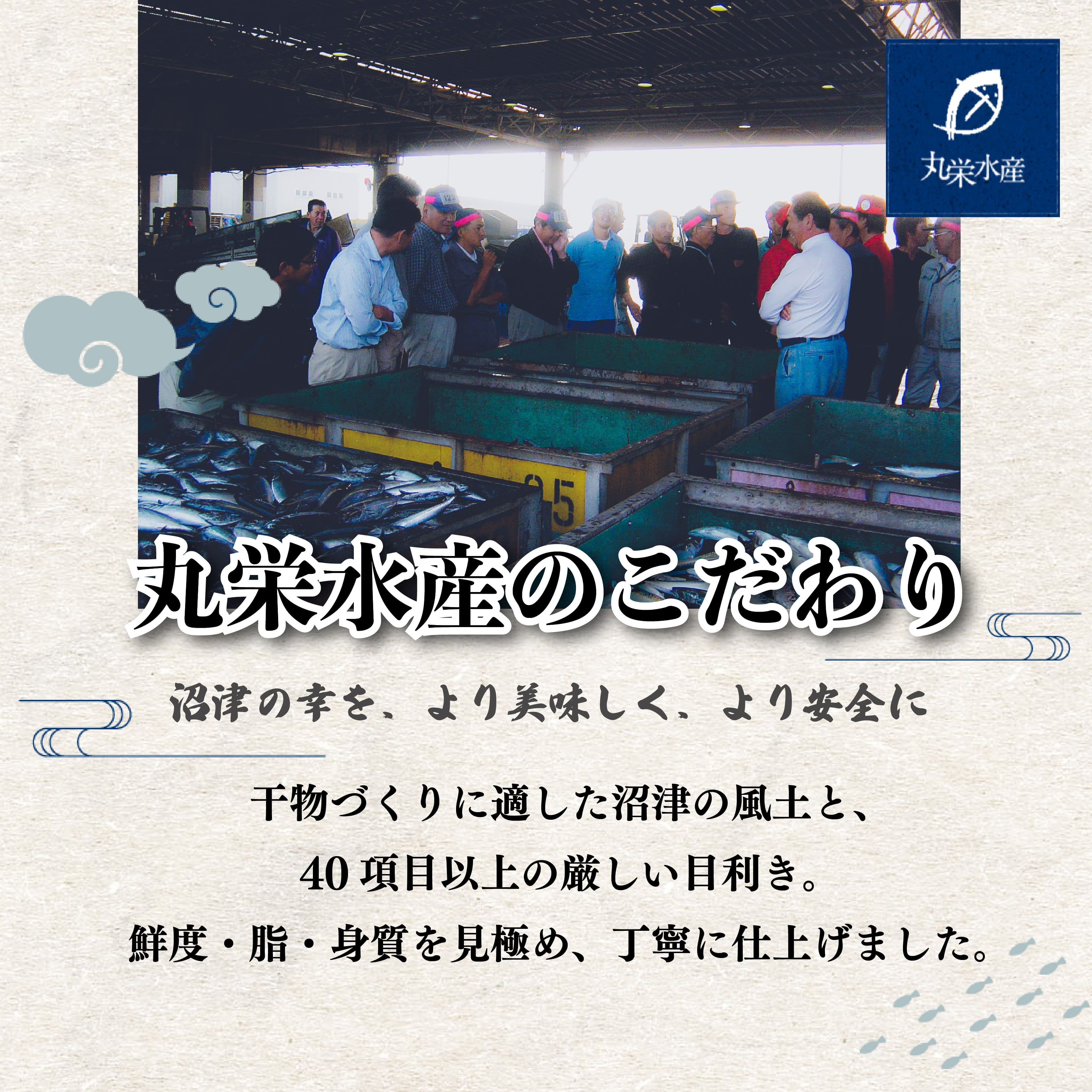 沼津の幸(R)  一夜干し真あじ10枚セット(サイズ120g)（Ａ）