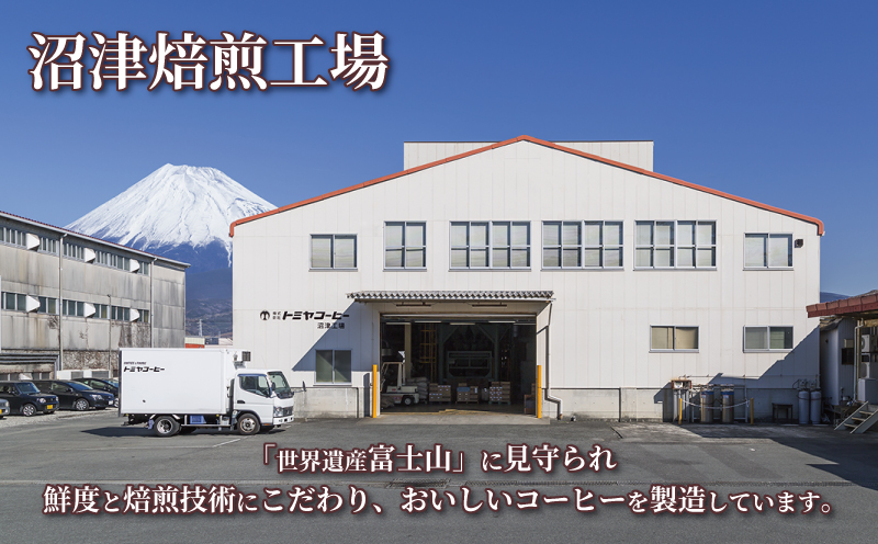 【 5ヶ月定期便 】 定期便 ！ おいしい コーヒー を飲もう 各月 100 g × 3 袋 ( 粉 ) を お届け 計 1.5 kg コーヒー ポスト投函 静岡県 沼津市