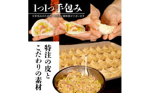 餃子 肉 野菜 60個 小ぶり 20g ジューシー 冷凍 豚肉 鶏肉 手作り おつまみ やみつき餃子 虎舞 沼津