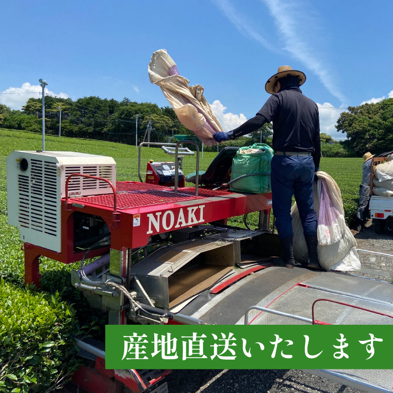 沌接çŽ
è¶ è¶è 30g 3è¢ èŸ²å®¶çŽé ãè¶ çŽ
è¶ é岡 沌接