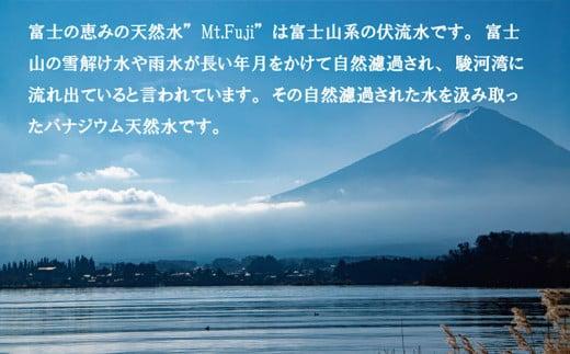 【 定期便 半年 6ヶ月 】 水 ミネラル ウォーター 天然 水 500ml 24本 2箱 48本 セット 富士の恵み Mt.Fuji 【月末発送】防災 備蓄 送料 無料