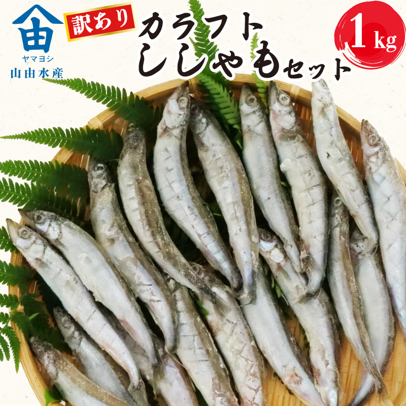 訳あり ししゃも 1kg カラフト 丸干し 干物 ひもの セット 冷凍 沼津 静岡