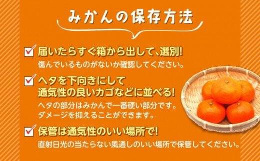 海塩を与えて栽培した由良みかん 予約受付 10月中旬 順次発送 訳あり みかん 由良 計 3kg 傷み補償分 200g 含む 蜜柑 柑橘 オレンジ 果物 フルーツ 沼津市 静岡県