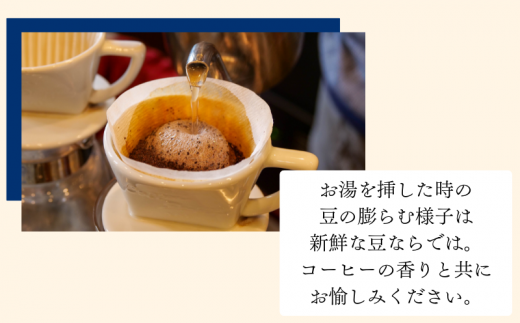 今日から あなたも 喫茶店 の マスター コーヒー スターター セット (粉)