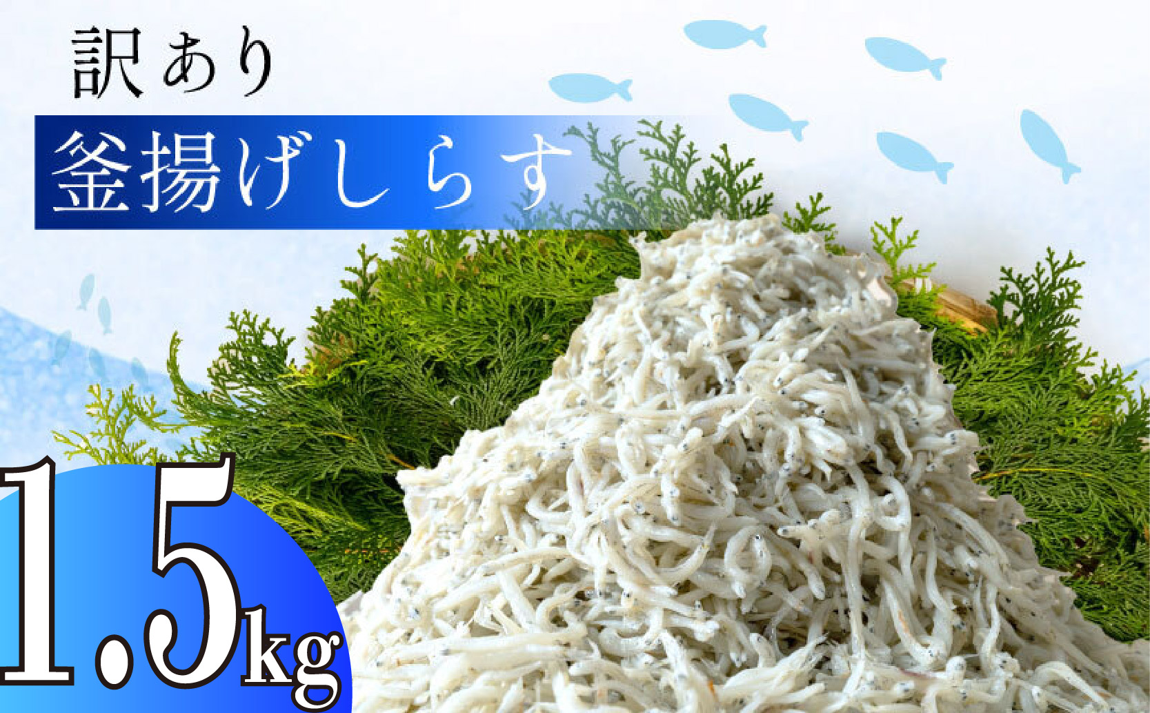 訳あり 釜揚げ しらす 1.5g 冷凍 小分け 500g × 3パック しらす パック しらす 駿河湾 の恵み シラス サイズ不揃い