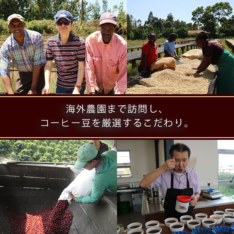 コーヒー粉 60BL 詰合せ レギュラーコーヒー 缶入り 焙煎 珈琲 コーヒー ブレンド 酸味 コーヒー豆  煎り ブラジル コロンビア ドリンク 飲み物 飲料類 自家焙煎コーヒー豆 ギフト 贈答 贈答品 チモトコーヒー 静岡 沼津