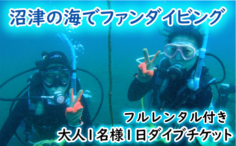 ファン ダイビング チケット 大人 1名 1日 2ビーチ ダイブ フルレンタル 込み 沼津 伊豆 半島 アクティビティ 遊び マリンスポーツ マリンアクティビティ スキューバ ダイビング 海 大瀬崎 平沢 獅子浜 井田