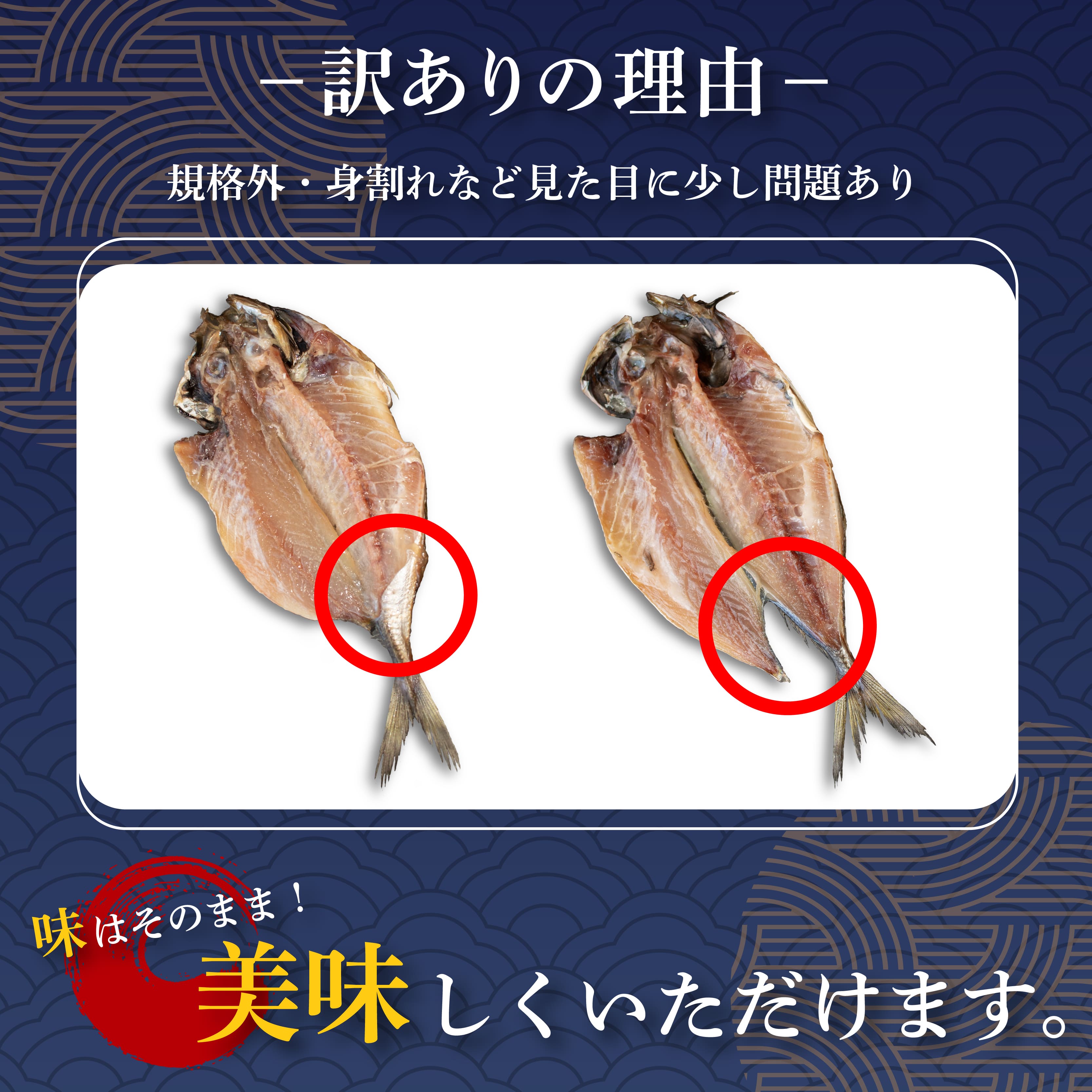 訳あり 干物 詰め合わせ 1.2kg セット 沼津からお届け アジ ホッケ サバ カマス 金目鯛 冷凍 ひもの