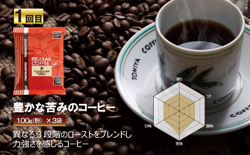 【 5ヶ月定期便 】 定期便 ！ おいしい コーヒー を飲もう 各月 100 g × 3 袋 ( 粉 ) を お届け 計 1.5 kg コーヒー ポスト投函 静岡県 沼津市