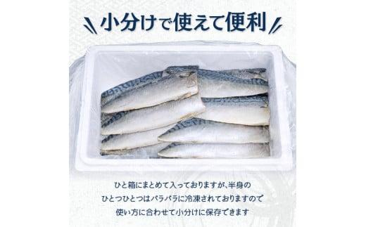 国産 天然 塩サバ フィレ 冷凍 15枚 大容量 鯖 切り身 半身 肉厚