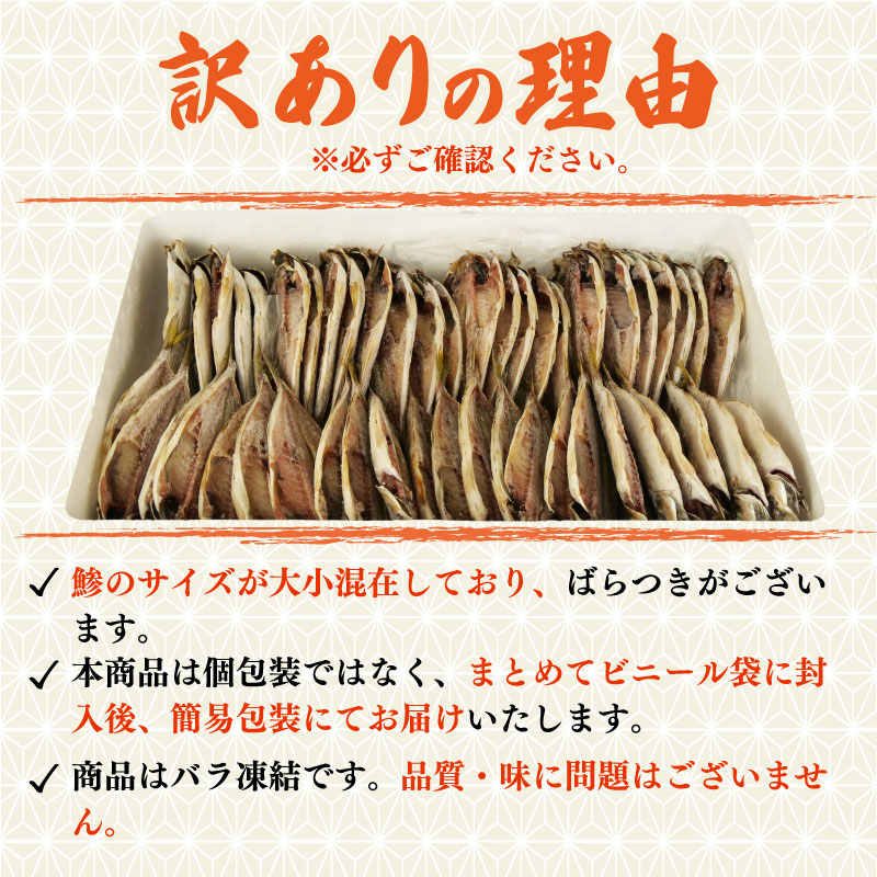 訳あり 真アジ 干物 約4kg ひもの 国産 あじ アジ 鯵 真あじ 冷凍 五十嵐水産 訳アリ 晩酌 おつまみ 簡単 お手軽 魚 魚介 干し魚 静岡 沼津