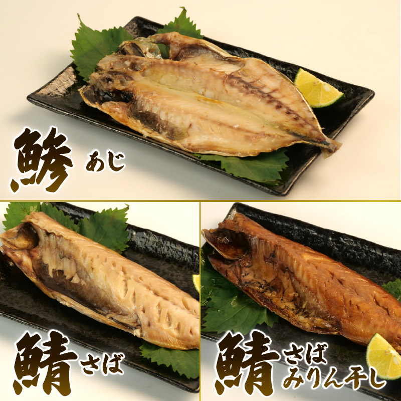 干物 詰め合わせ セット 5種 10枚 レンジ 簡単調理 真空パック 個包装 お手軽 ひもの あじ ほっけ さば フィーレ さば味醂 さけ 静岡県 沼津市 魚介 干物セット 美味しい 極上 静岡 沼津 コスパ