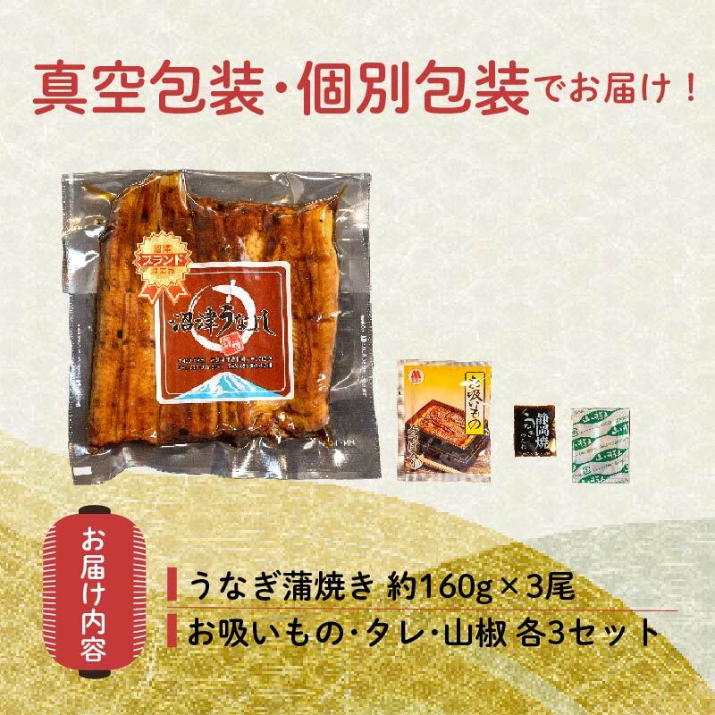 うなぎ 蒲焼 国産 鰻 3尾 480gセット 真空 小分け 丑の日 沼津 うなよし