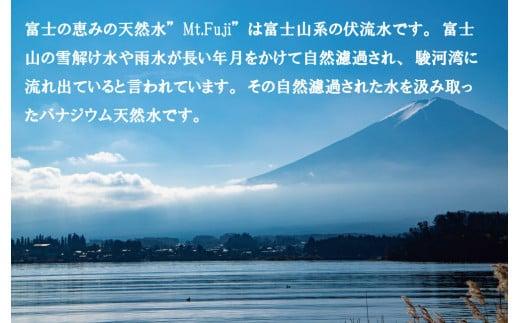 水 ミネラル ウォーター 天然 水  500ml 24本 2箱 48本 セット 富士の恵み Mt.Fuji 防災 備蓄 4日分 送料 無料 保存用
