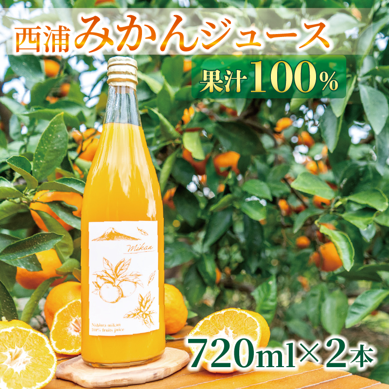 果汁100％  みかんジュース  720ml×2本 西浦 