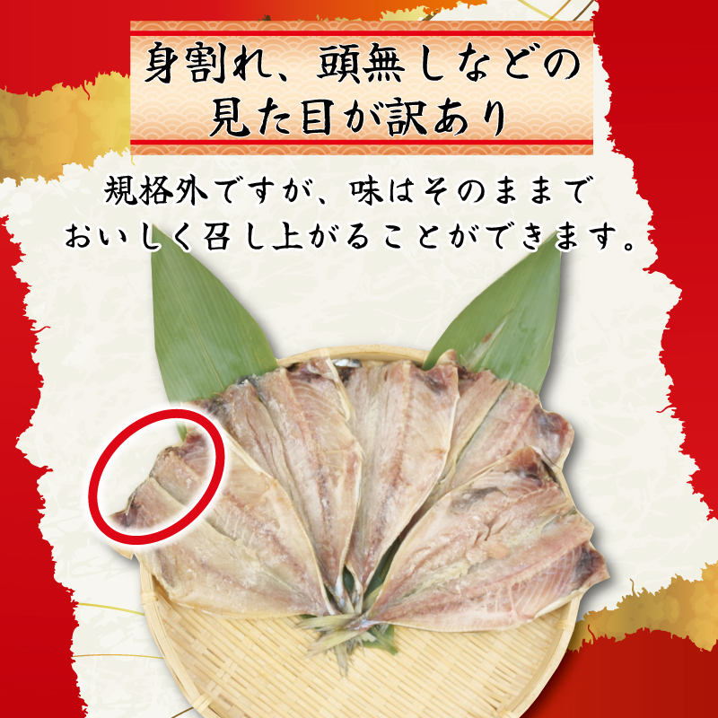 訳あり 干物 詰め合わせ 1.2kg セット 沼津からお届け アジ ホッケ サバ カマス 金目鯛 冷凍 ひもの