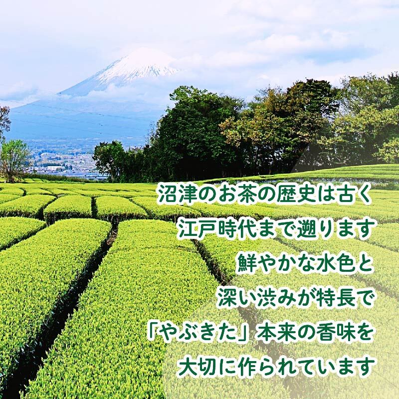 お茶 緑茶 400ml 24缶  ぬまっちゃ ラブライブ! サンシャイン!! オリジナル デザイン 缶 沼津茶 一番茶 静岡県 沼津市