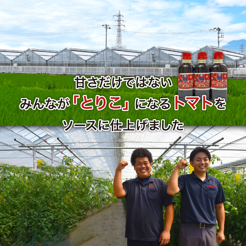 ããã ãã£ã·ã ãœãŒã¹ 300mlÃ3æ¬ äž¹é£é«å ããããœãŒã¹ ãã ãã èª¿å³æ æžç°å¡© äœ¿çš éå²¡ç æ²ŒæŽ¥åž