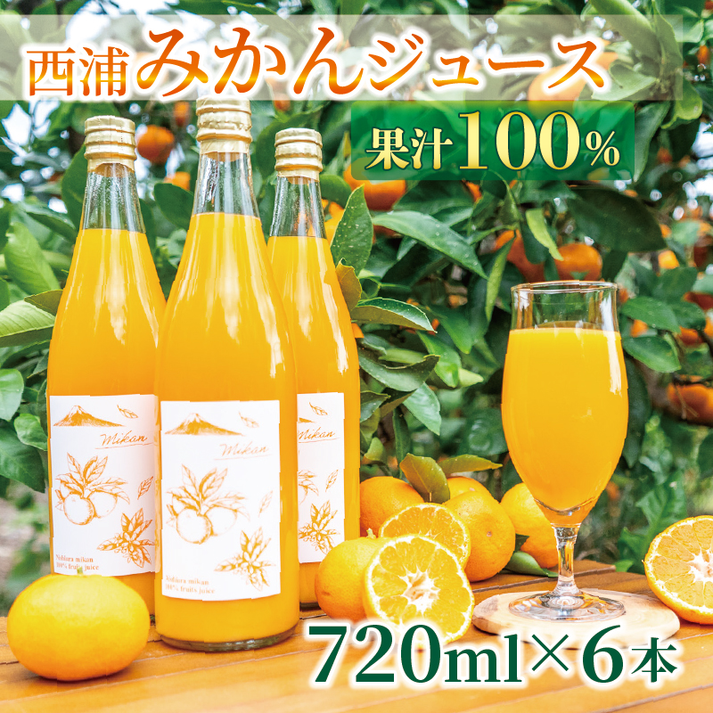 果汁100％ みかんジュース 720ml×6本 西浦