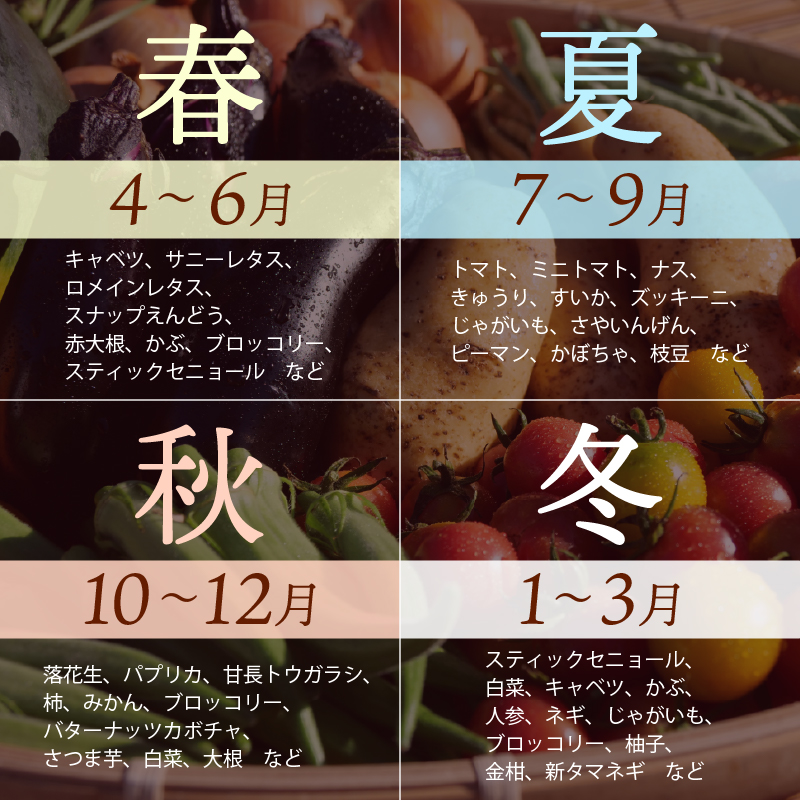 野菜 4 ~ 5品 特別栽培 詰め合わせ セット 富士山 の 湧水 で つくる 四季 の 美味しい 旬 新鮮 お野菜