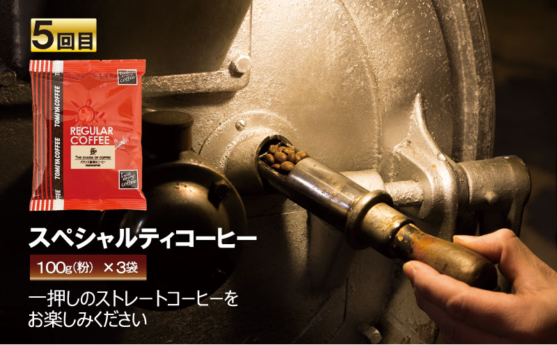 【 5ヶ月定期便 】 定期便 ！ おいしい コーヒー を飲もう 各月 100 g × 3 袋 ( 粉 ) を お届け 計 1.5 kg コーヒー ポスト投函 静岡県 沼津市