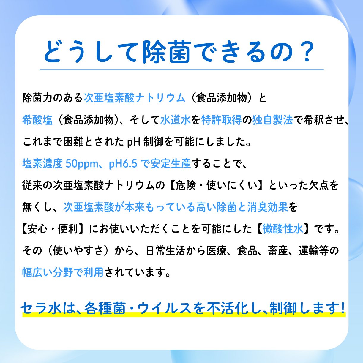 次亜塩素酸 水溶液 300ml × 2 本 セット 除菌 消臭 微酸性 セラ 衛生 ウイルス 対策