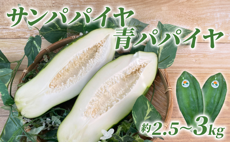 【予約注文/2025年9月下旬より発送】 サン パパイヤ 青 パパイヤ 約 2.5 kg ～ 3 kg 酵素 野菜 果物 フルーツ パパイア 料理 静岡県 沼津市