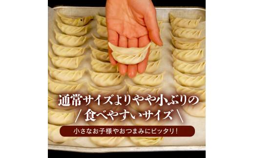 餃子 肉 野菜 60個 小ぶり 20g ジューシー 冷凍 豚肉 鶏肉 手作り おつまみ やみつき餃子 虎舞 沼津