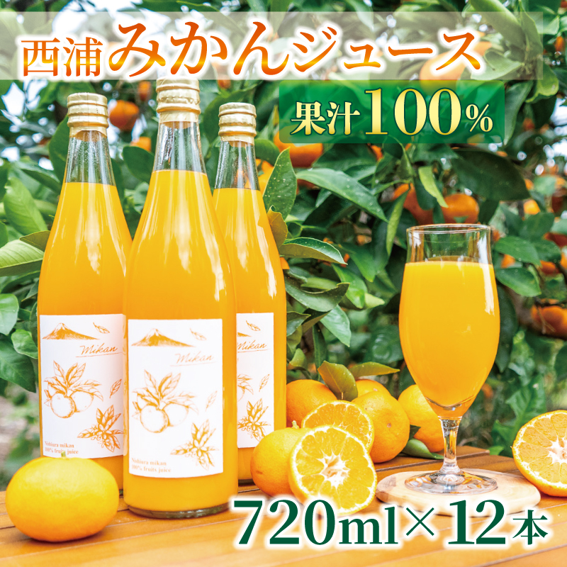 果汁100％ みかんジュース 720ml×12本 西浦