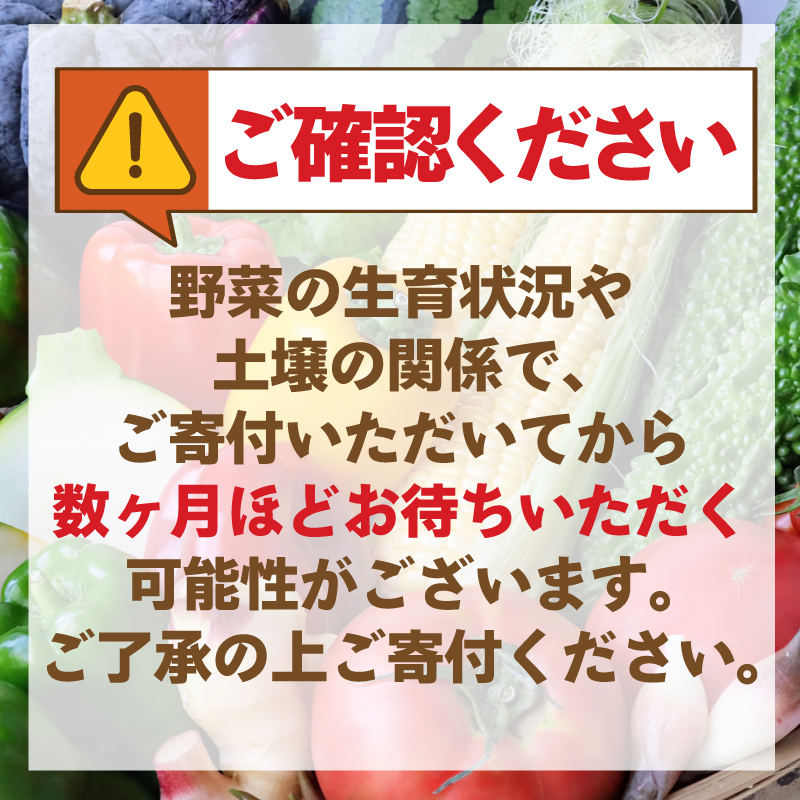 トマト プチ プチトマト ミニ ミニトマト 新鮮 摘みたて 就労支援 こころみファーム　こころ味トマト