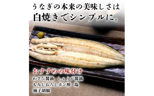 うなぎ 白焼き 国産 鰻 3尾 ギフトボックス 化粧箱 老舗 専門店 タレ付き 山椒