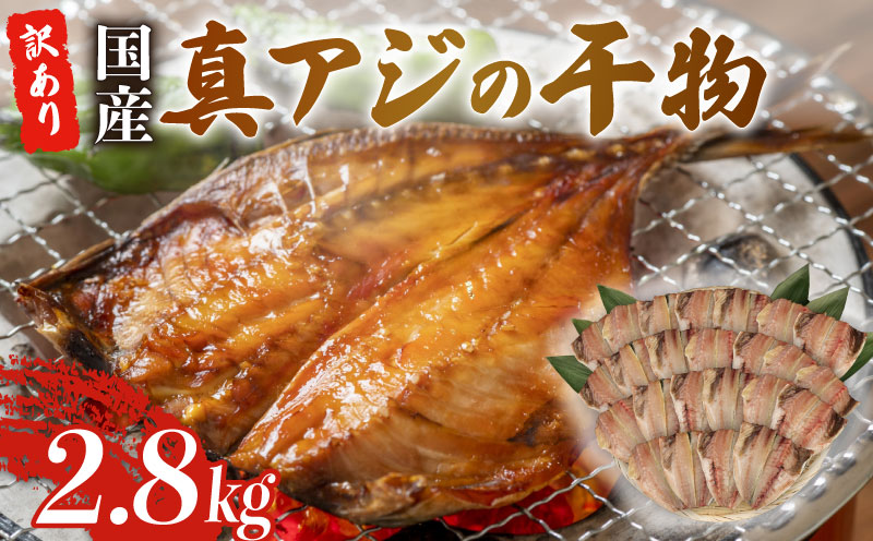 訳あり 真アジ 干物 約2.8kg サイズ不揃い ひもの 国産 あじ アジ 鯵 真あじ 冷凍 五十嵐水産 訳アリ 晩酌 おつまみ 簡単 お手軽 魚 魚介 干し魚 静岡 沼津