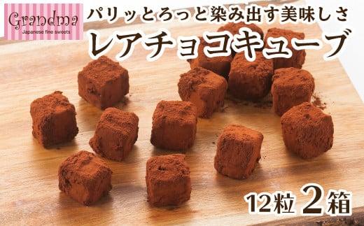 レアチョコキューブ 計24粒 12粒入×2箱 チョコレート チョコ スイーツ 洋菓子 ショコラ 静岡 沼津