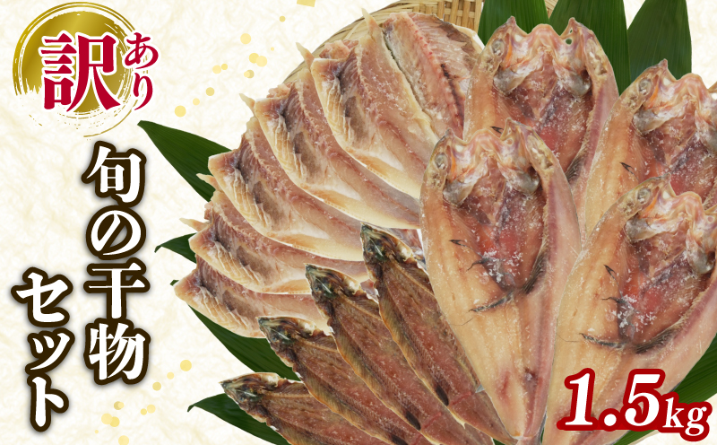 訳あり 旬 干物 詰め合わせ 1.5kg 魚 3種類以上 おまかせ セット 静岡県 沼津市