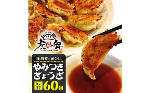 餃子 肉 野菜 60個 小ぶり 20g ジューシー 冷凍 豚肉 鶏肉 手作り おつまみ やみつき餃子 虎舞 沼津