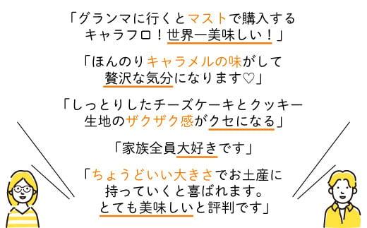 チーズケーキ キャラフロ 計12本 6本入り×2箱セット 濃厚 クリーミー チーズ ケーキ 洋菓子 冷凍 ギフト プレゼント 静岡 沼津