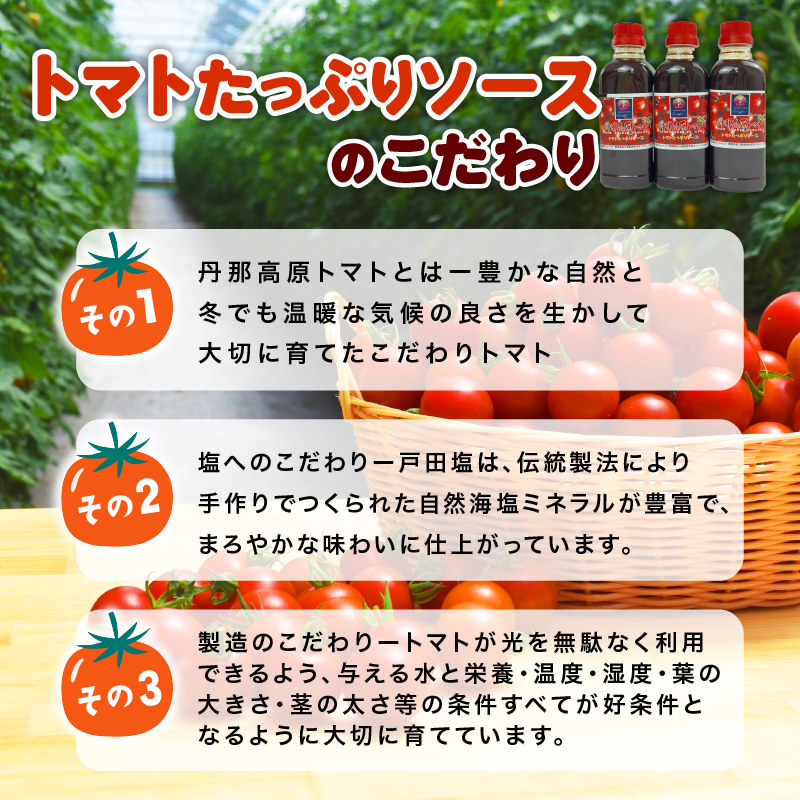 ããã ãã£ã·ã ãœãŒã¹ 300mlÃ3æ¬ äž¹é£é«å ããããœãŒã¹ ãã ãã èª¿å³æ æžç°å¡© äœ¿çš éå²¡ç æ²ŒæŽ¥åž