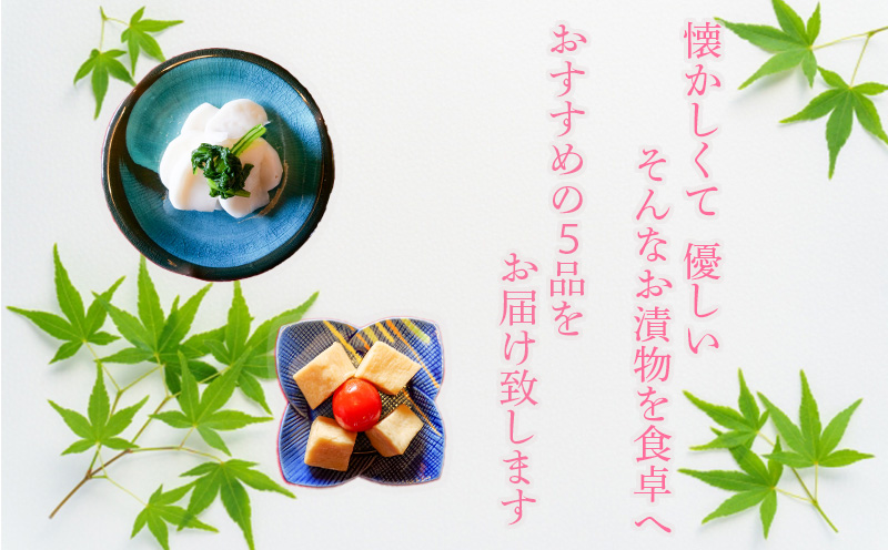 定期便 年4回 野菜 漬物 詰め合わせ 季節野菜 5品 おまかせ沼津 セット 小分け 旬 つけもの 漬け物 漬け もの たくあん 人気 浅漬け お醤油漬け 酢漬け ビール漬け 静岡県