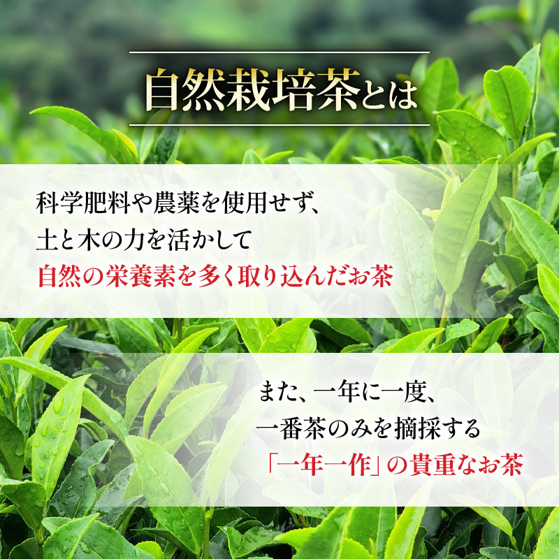 自然栽培茶 無化学肥料 無農薬 100g 4パック 計 400g 静岡茶 緑茶 茶葉