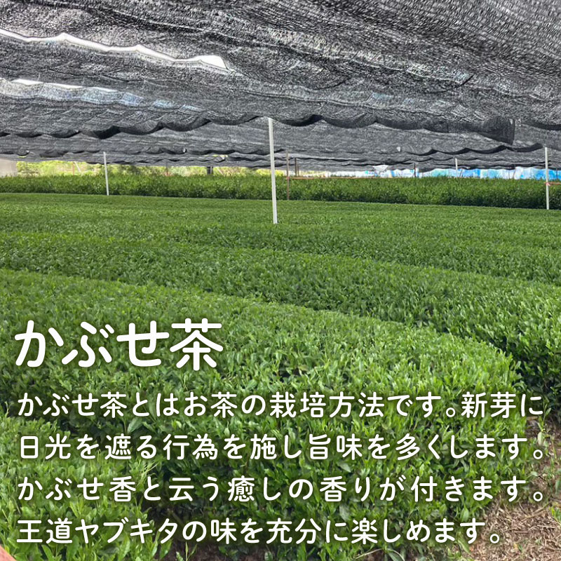 高級茶のテイスティング