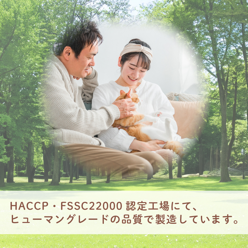 猫 エサ 国産 減塩 鰹節 鰹 かつお 小分け 小袋 詰め合わせ パック 25g×20袋 計500g ネコ ねこ ふりかけ 沼津市 静岡県 秋元水産