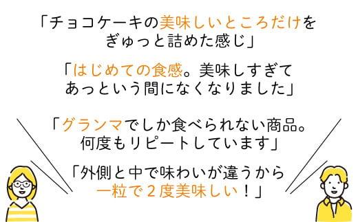 レアチョコキューブ 計24粒 12粒入×2箱 チョコレート チョコ スイーツ 洋菓子 ショコラ 静岡 沼津