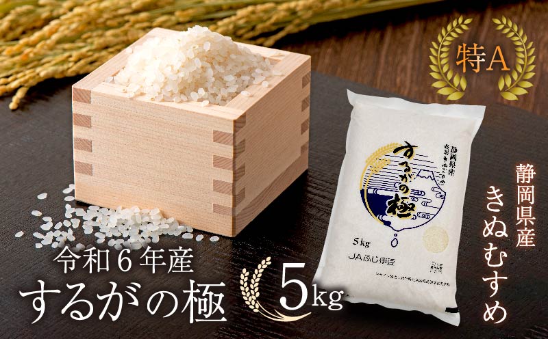 【令和6年産米】 新米 するがの極 5kg 特A 米 こめ お米 白米 精米 JA ブランド米 きぬむすめ 沼津 静岡 静岡県産