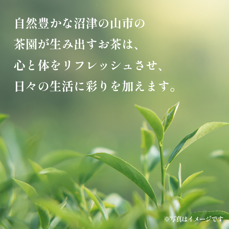 æ²ŒæŽ¥è¶ ç
è¶ 50g 1è¢ æ®é ç·è¶ 2026å¹Žç£ èŸ²å®¶çŽé ãè¶ è¶è é岡 沌接