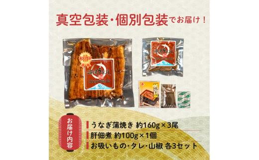 うなぎ 蒲焼 国産 鰻 3尾 480g 肝 佃煮 セット 真空 小分け 丑の日 沼津 うなよし