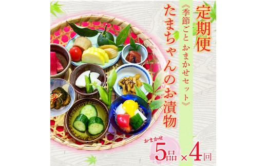 定期便 年4回 漬物 ビール漬 季節野菜 5品 おまかせ沼津 セット 小分け