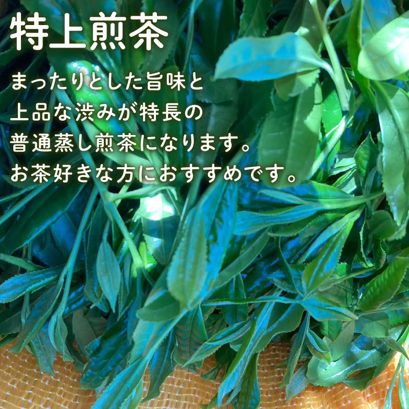 高級茶のテイスティング