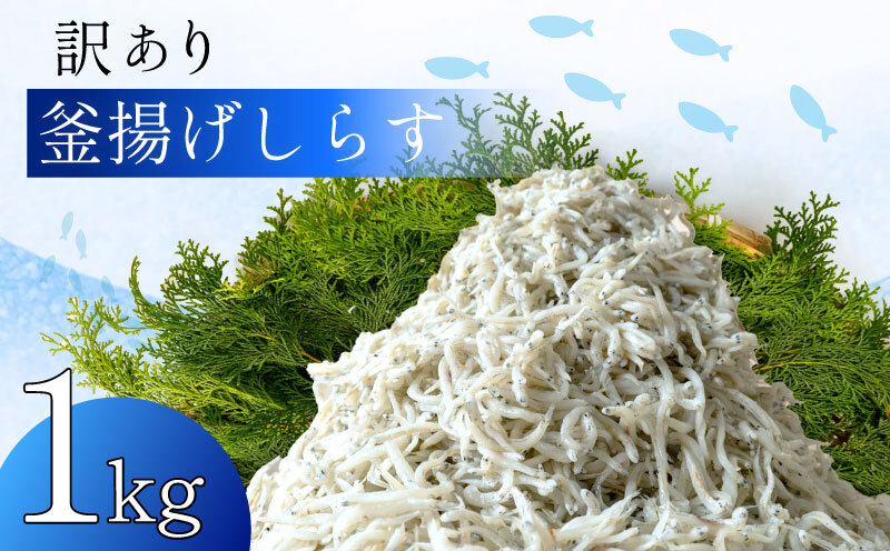 訳あり 釜揚げしらす 1kg たっぷり 冷凍 小分け パック 500g 2パック 駿河湾 の恵み シラス