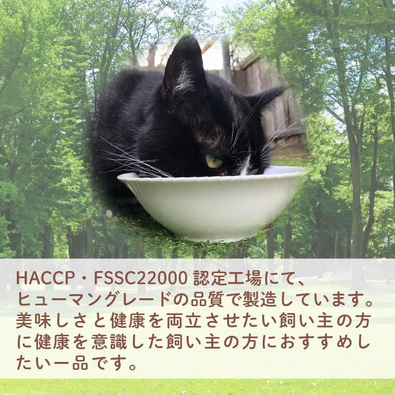 猫 エサ 無添加 減塩 ふりかけ 600g カツオ 鰹 イワシ 鰯 調味料 たんぱく質 カルシウム 静岡県 沼津市 おやつ 魚介類 海鮮 秋元水産